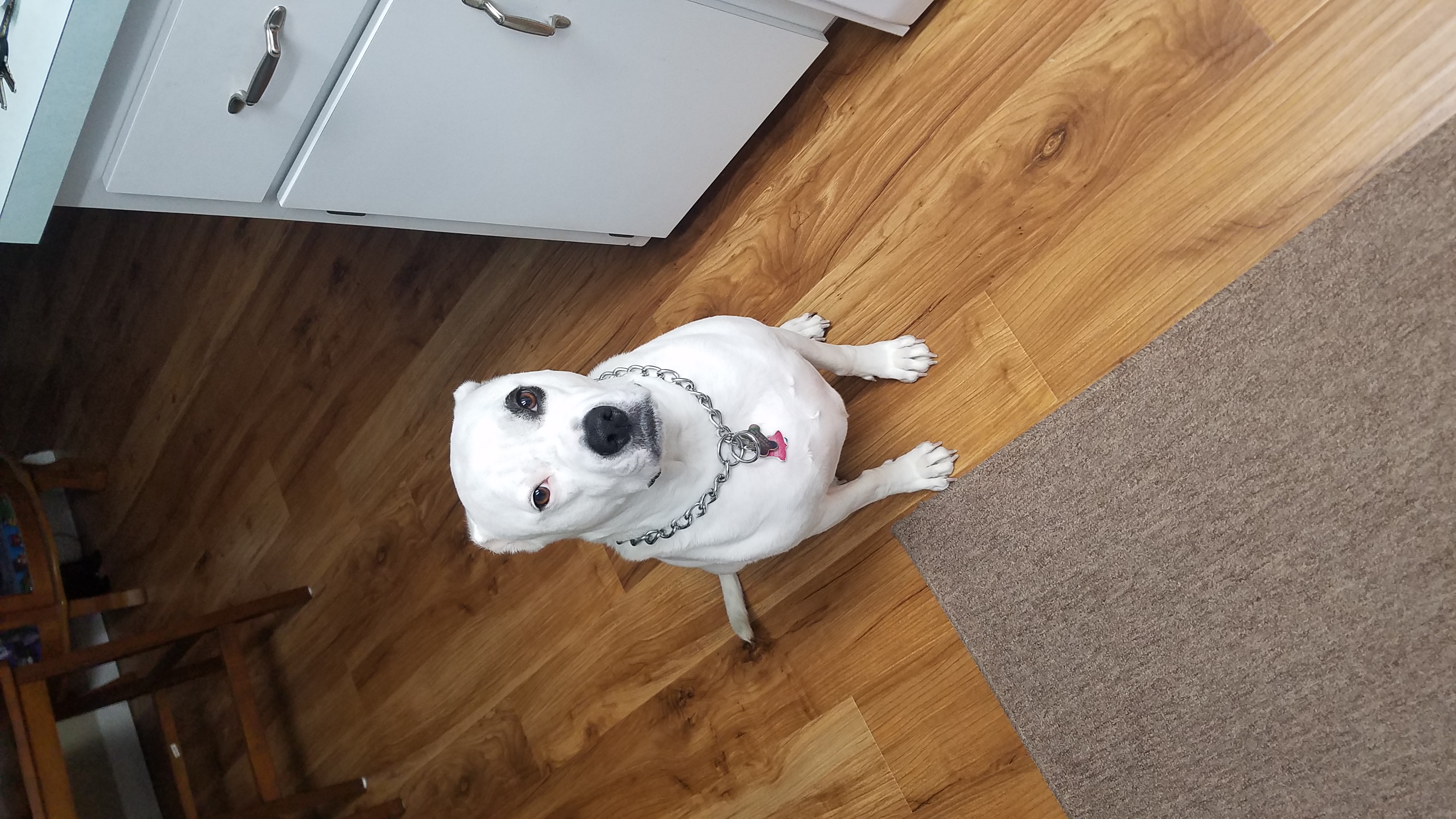 wayne.heinlein on One Bite Pizza App