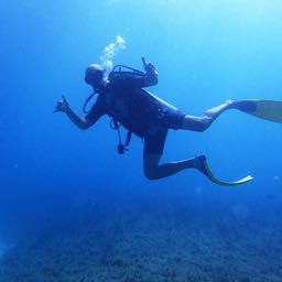 dillingerslice on One Bite Pizza App