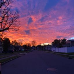 francesca.corbi on One Bite Pizza App