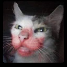 deet on One Bite Pizza App