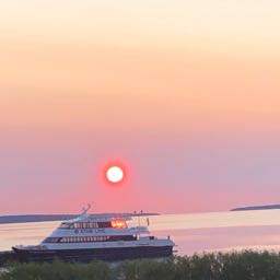 justin.sanders2 on One Bite Pizza App