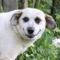 bjmw on One Bite Pizza App