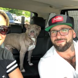 mike.petraglia on One Bite Pizza App