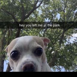 justin.baros on One Bite Pizza App