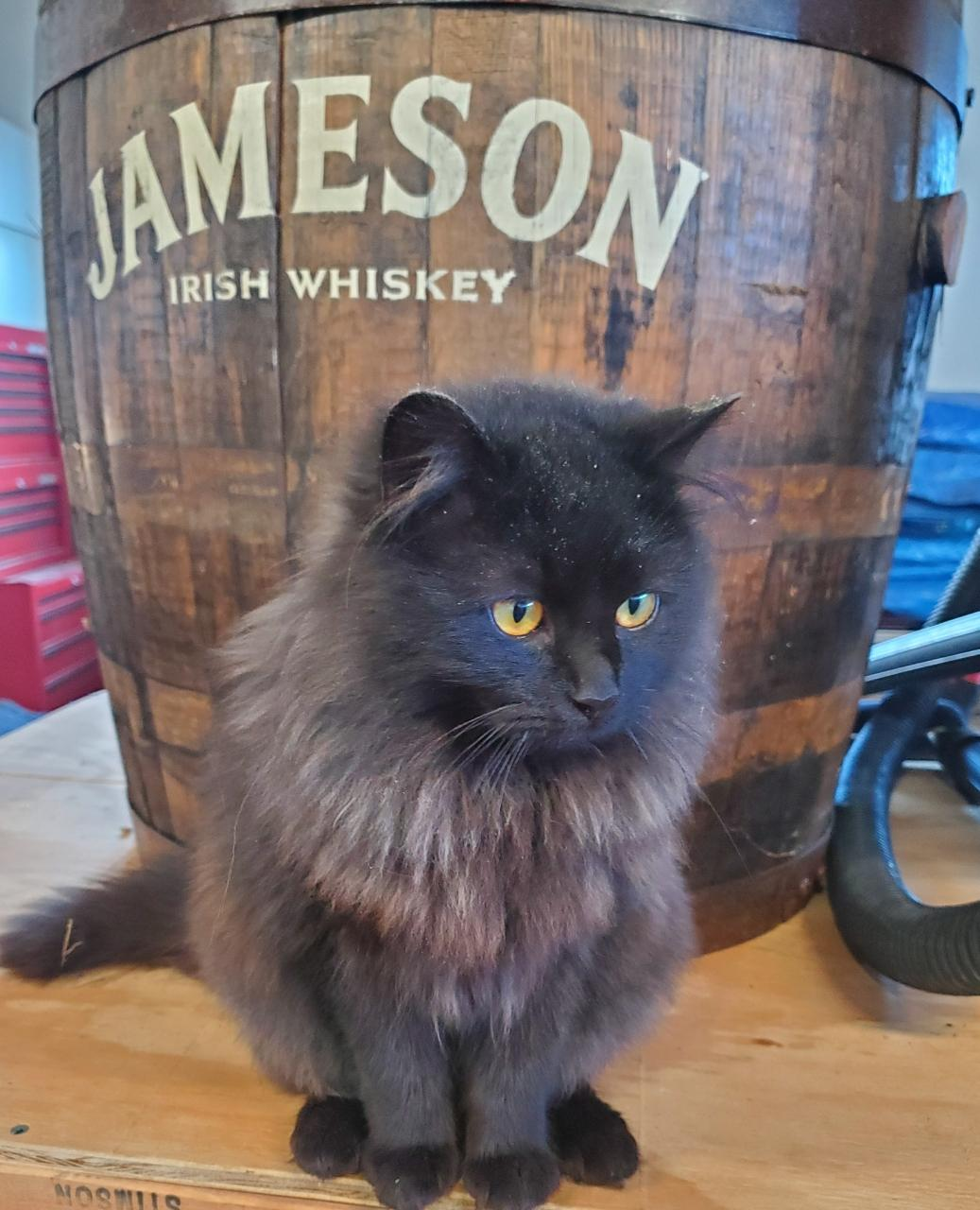 baaeball801 on One Bite Pizza App