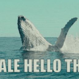 whassobby on One Bite Pizza App