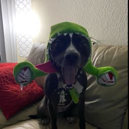 edward.hines on One Bite Pizza App