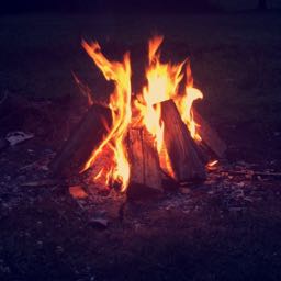 ashley.bow1 on One Bite Pizza App