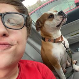 ty.sekura on One Bite Pizza App