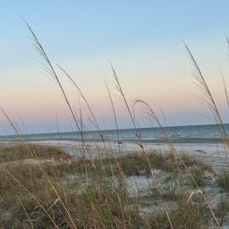 matt.oakes1 on One Bite Pizza App