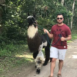 jared.wolff on One Bite Pizza App