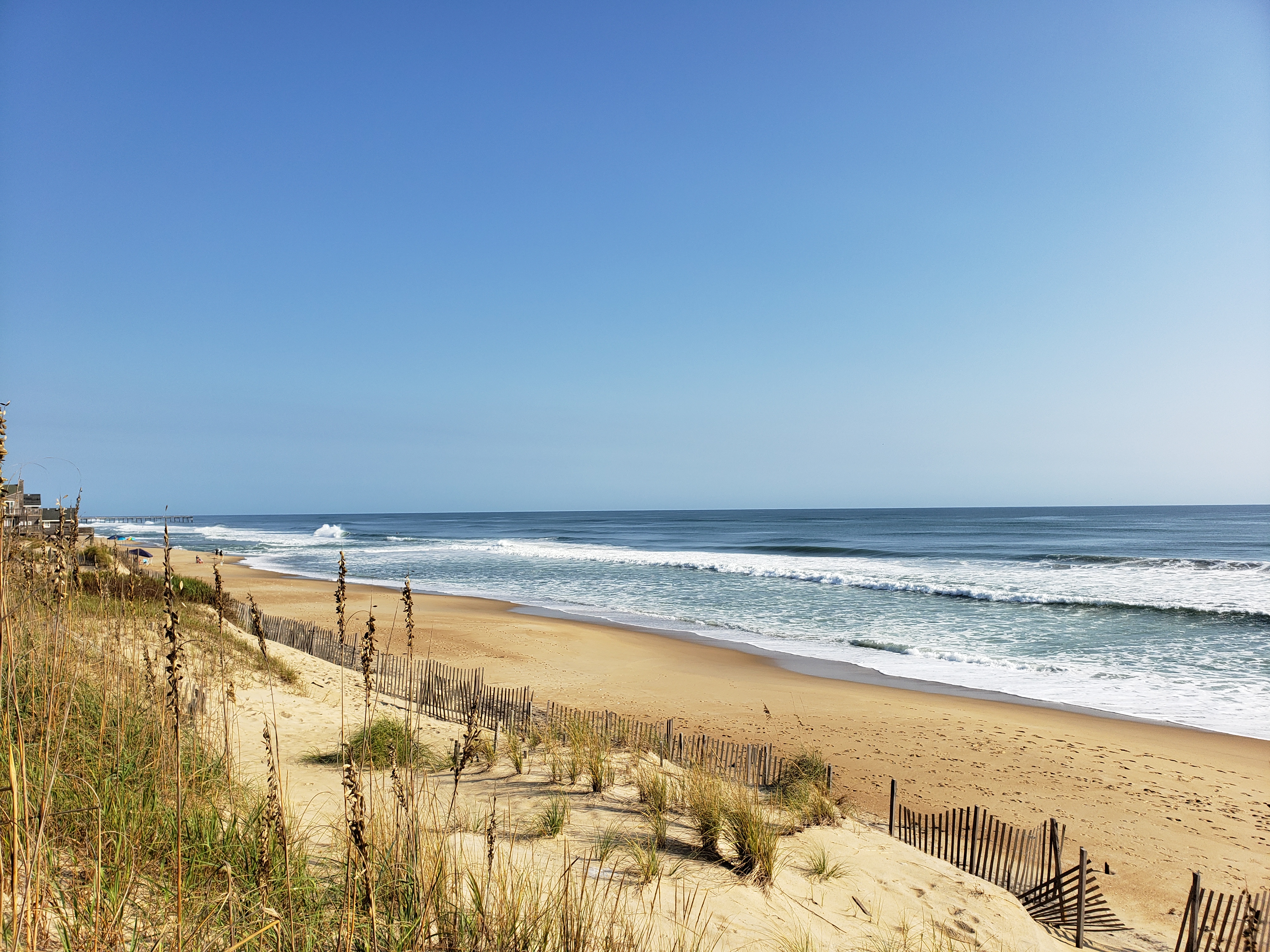 eric.wilt1 on One Bite Pizza App