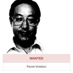 lluca on One Bite Pizza App