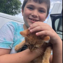 lance.bray on One Bite Pizza App