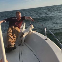 mark.obrien3 on One Bite Pizza App