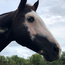 ian.metz on One Bite Pizza App