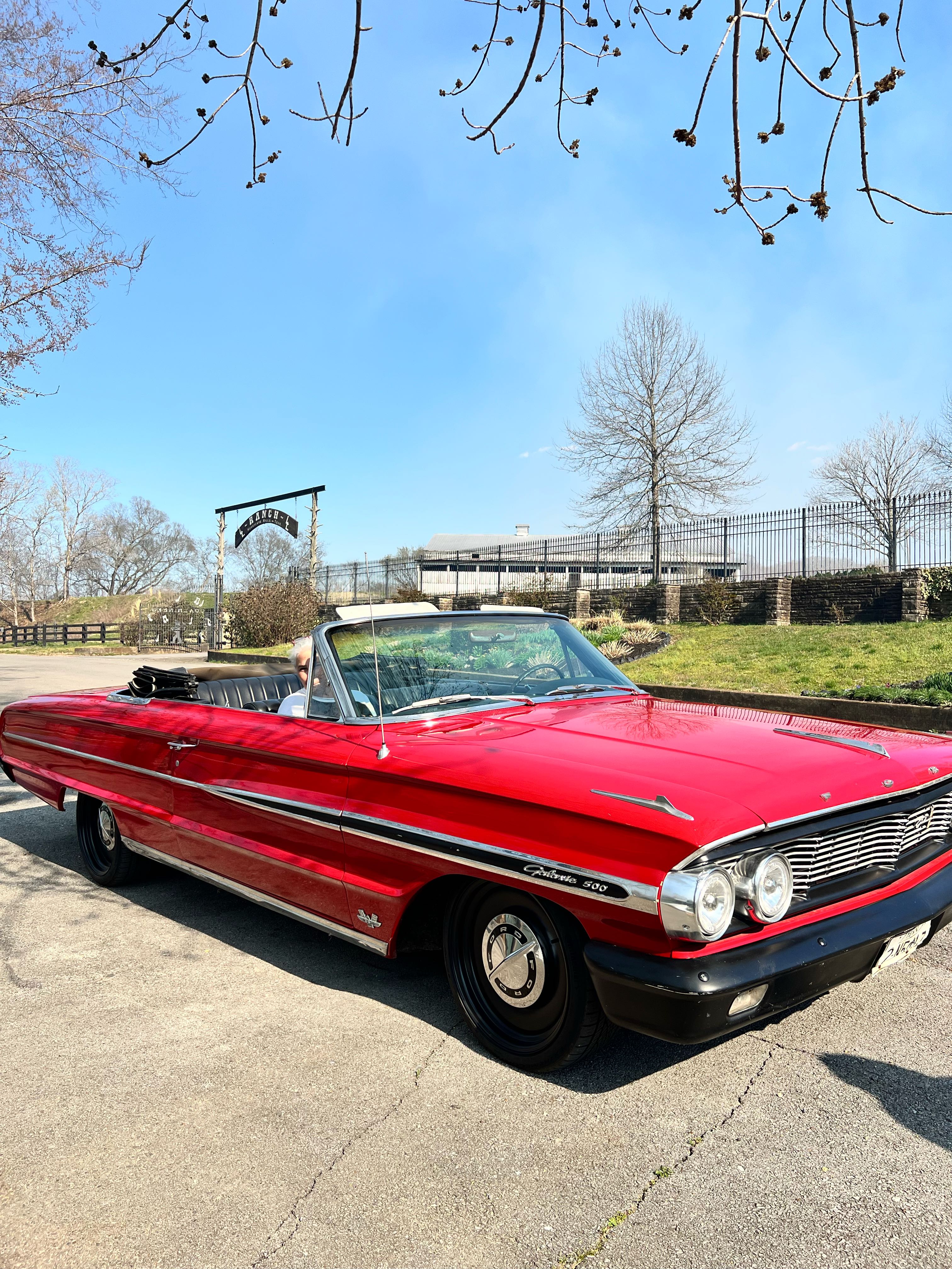 paul.jones13 on One Bite Pizza App