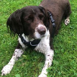 m_j on One Bite Pizza App