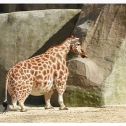 garrett.kashmer on One Bite Pizza App