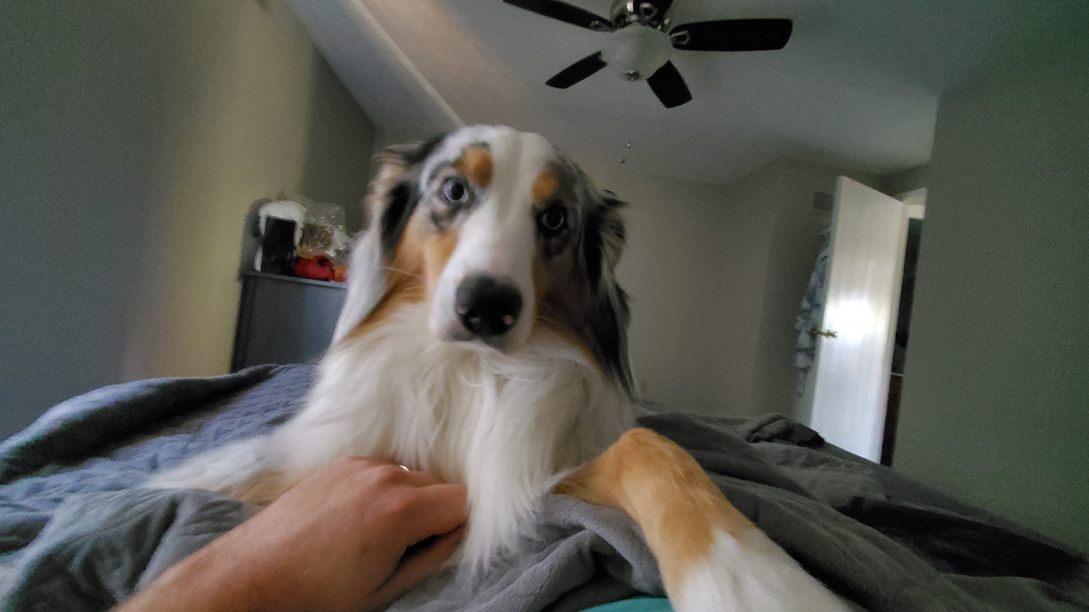 kwnull on One Bite Pizza App