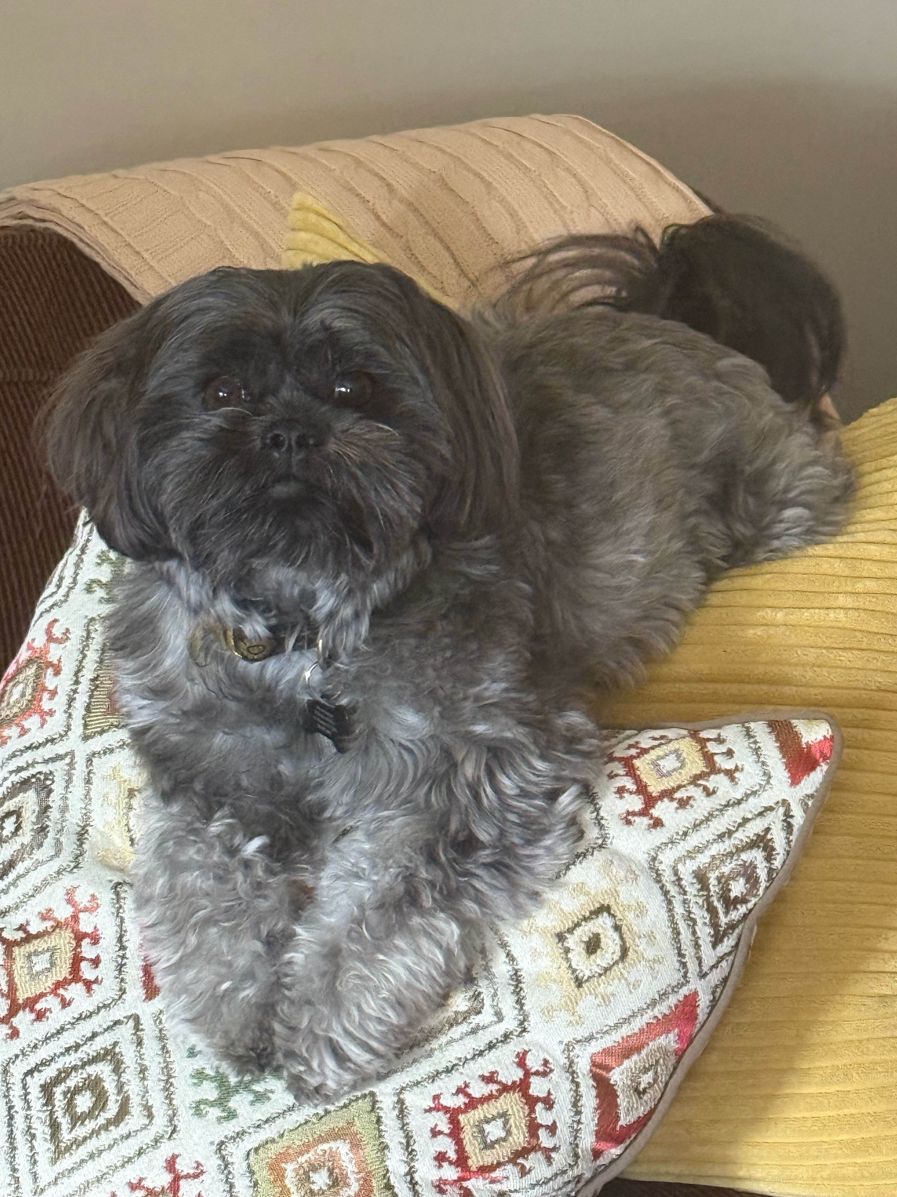 allyson.ingram on One Bite Pizza App