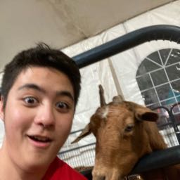 chase.borcsane on One Bite Pizza App