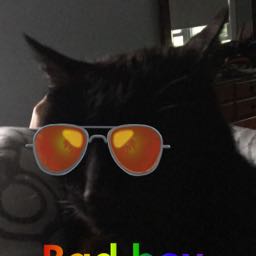 chris.mckinley2 on One Bite Pizza App