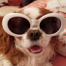 michael.urrutia on One Bite Pizza App