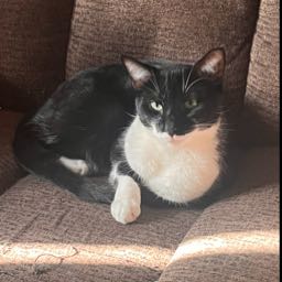 daniel.prine on One Bite Pizza App