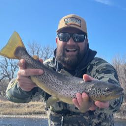 david.ray3 on One Bite Pizza App