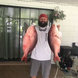 fishwasted on One Bite Pizza App