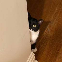 leah.gorran on One Bite Pizza App