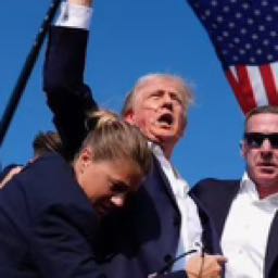 coopachekj on One Bite Pizza App