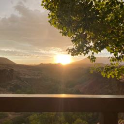 tonya.heyder on One Bite Pizza App