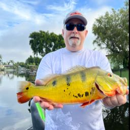 d.souza69 on One Bite Pizza App