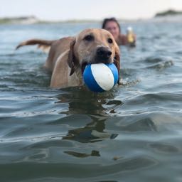 forrest.walker on One Bite Pizza App