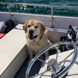 j.mckinley on One Bite Pizza App