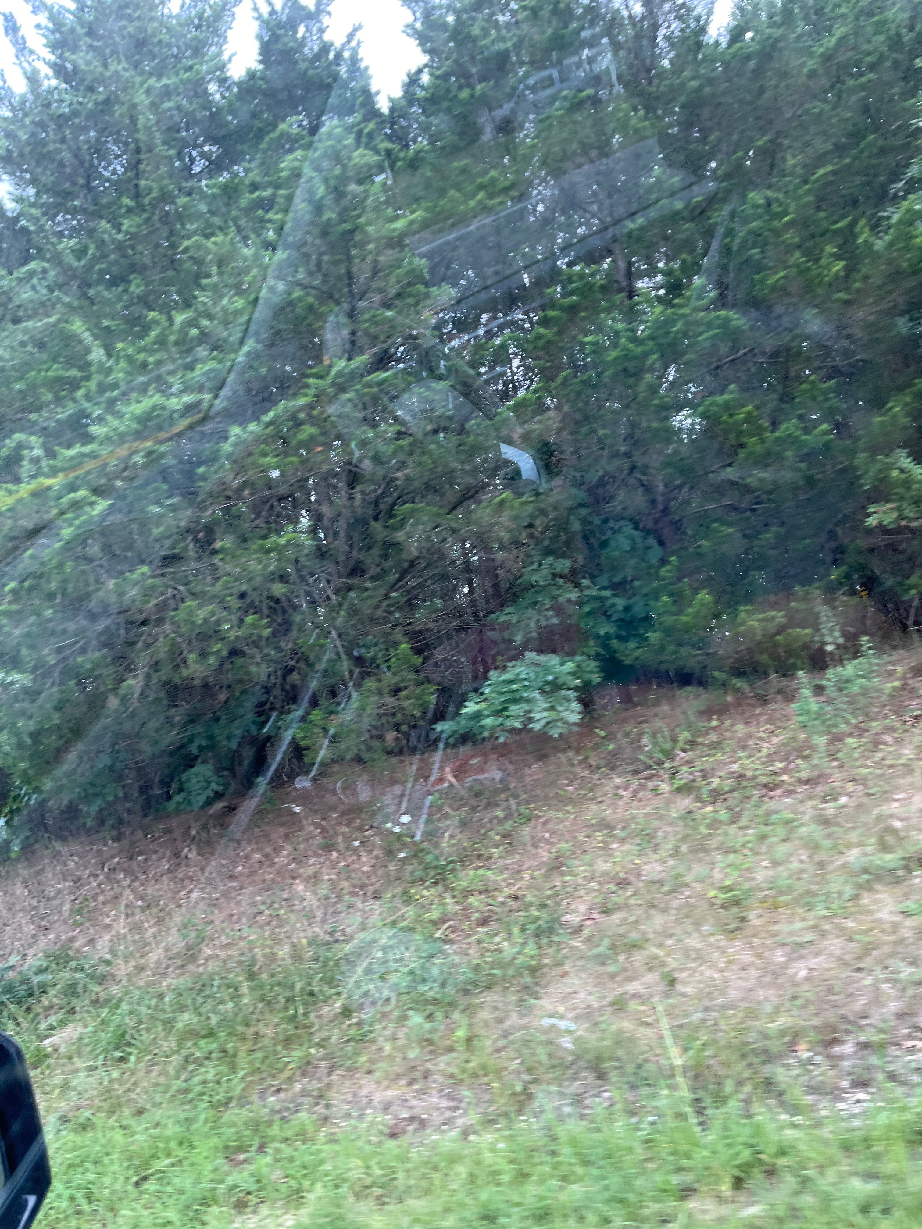 pizzakid676767 on One Bite Pizza App