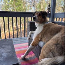 scott.liss on One Bite Pizza App