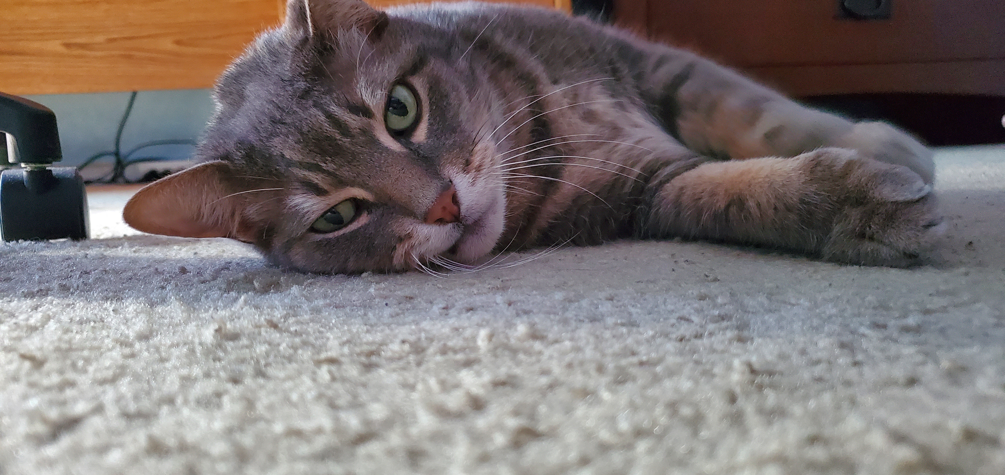 alexander.preston on One Bite Pizza App