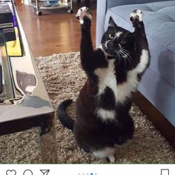 danielle.bermudez on One Bite Pizza App