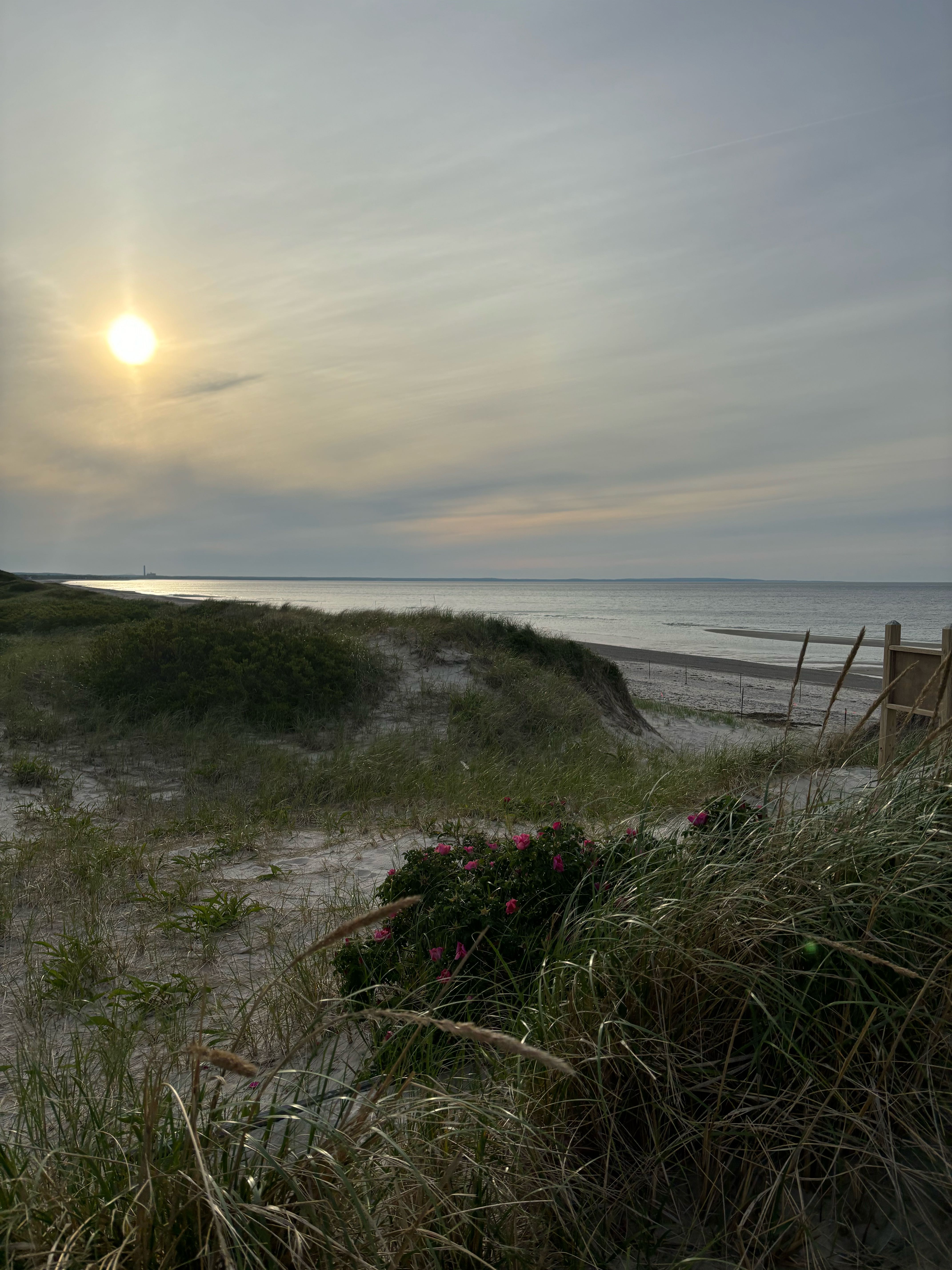 skrvn on One Bite Pizza App