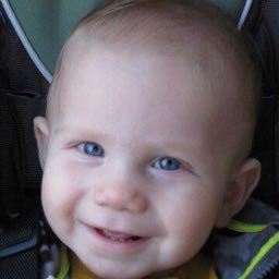 gary.andersen on One Bite Pizza App