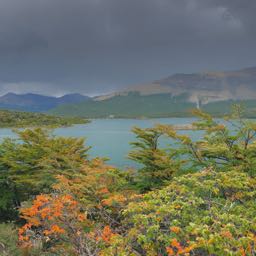 nick.ko on One Bite Pizza App