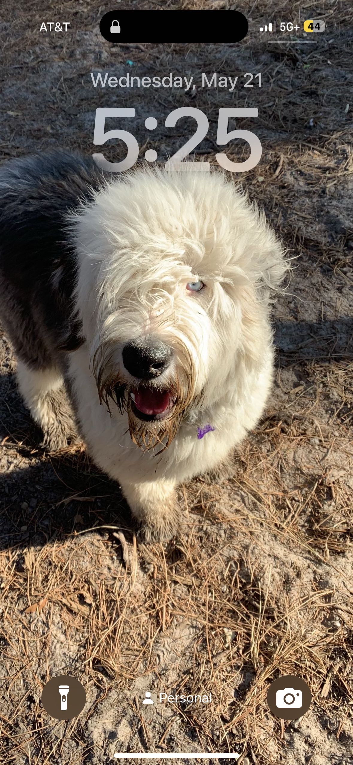 matt.pearce3 on One Bite Pizza App