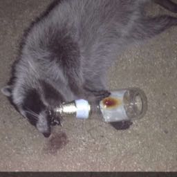 joey.manassero on One Bite Pizza App