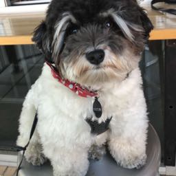 jeremym on One Bite Pizza App