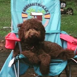 flipflopcop39 on One Bite Pizza App