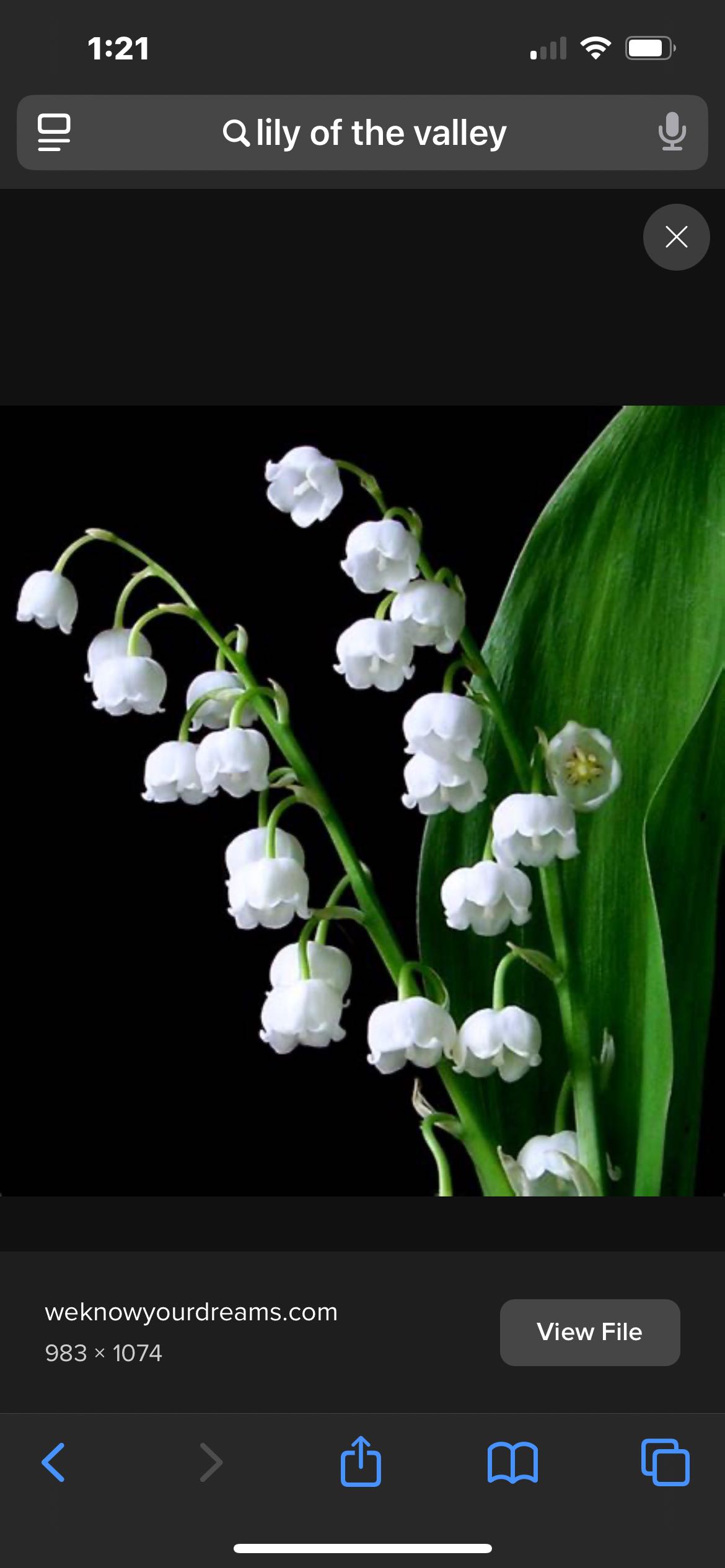 mchl on One Bite Pizza App