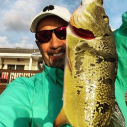 tomonebite.soska on One Bite Pizza App